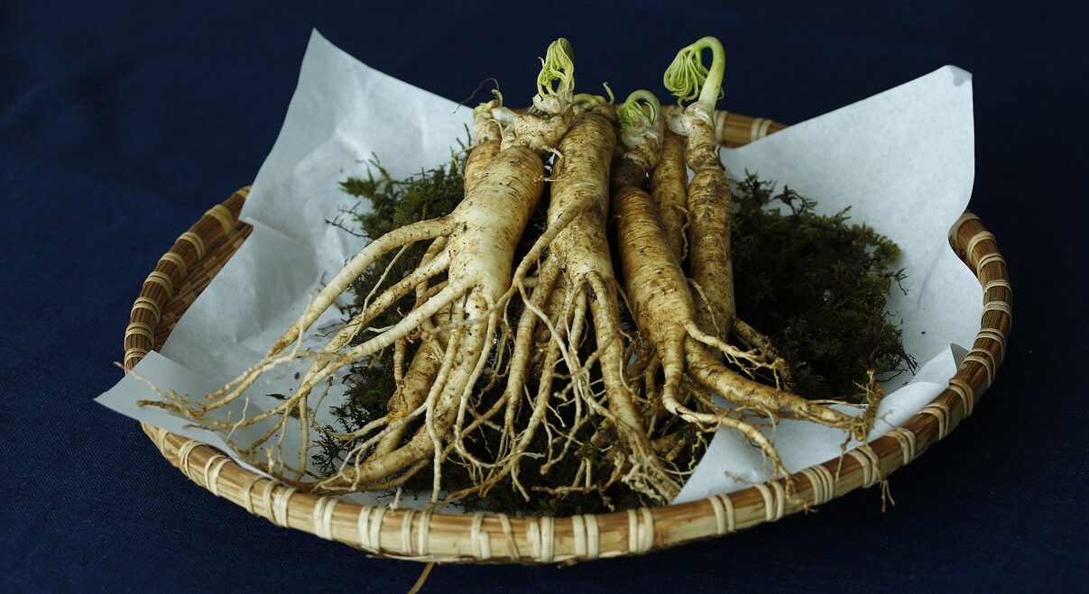 Ginseng: Enhancing Energy Levels and Reducing Fatigue